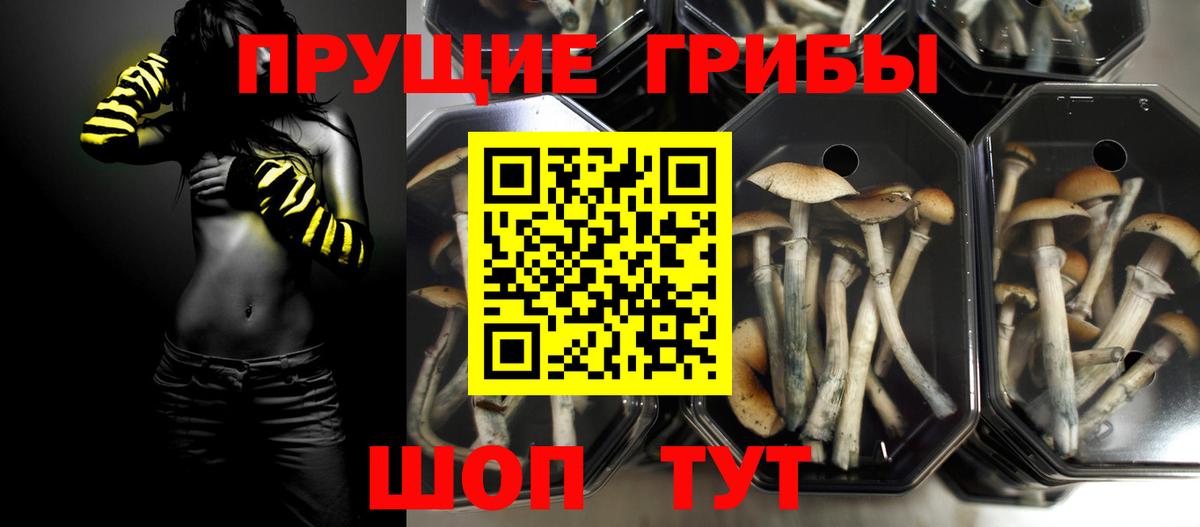 Галлюциногенные грибы мухоморы Копейск