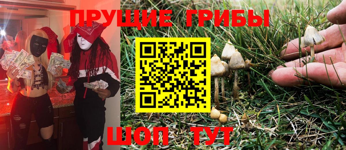 Копейск  Псилоцибиновые грибы Magic Shrooms  Вход с VPN 